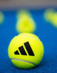 Padel INTERMEDIATE PARTNER Bundle - RX Series 2026